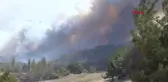 Çanakkale'deki Orman Yangınında Alevler Yeniden Yükseldi