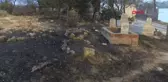 ÇANAKKALE'DEKİ ORMAN YANGINI, YAĞCILAR'DA MEZARLIĞI TAHRİP ETTİ
