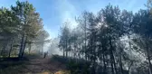 Kastamonu'da Orman Yangını Kontrol Altına Alınmaya Çalışılıyor