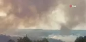 Çanakkale'deki orman yangınında alevler yeniden yükseldi