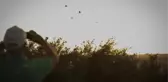 Mersin Semalarında Kuş Göçü İzleniyor
