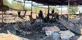Çanakkale'deki orman yangınında hayvanlar telef oldu, yaşlı adam yaralandı