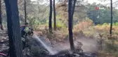 Ormanlık alanda çıkan yangın büyümeden söndürüldü