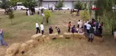Balıkesir Üniversitesi'nde Down Sendromlu Bireylere Özel Atlı Terapi Etkinliği
