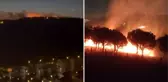 İstanbul Maltepe'de orman yangını kontrol altına alındı