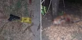 Kirayı artırmak isteyen ev sahibi, kiracısını bıçaklayıp köpeğini öldürdü