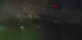 Seyhan Nehri'nin Akdeniz'e döküldüğü noktada kirlilik alarm veriyor
