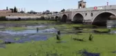 Tunca Nehri kirlilik nedeniyle yeşile büründü