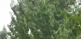 Mersin'in yüksek kesimlerinde sağanak yağmur etkili