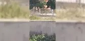 CHP Kars Milletvekili İnan Akgün Alp, Kars Belediyesi'nin Kars Çayı'na vidanjör boşalttığı görüntüleri paylaştı