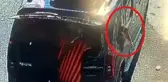 Kısırlaştırılmak için getirilen kedi aracın camını kırıp kaçtı