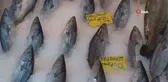 Denizlerde avlanma yasağının bitmesine bir gün kala Palamut bolluğu mesajı