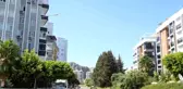 Antalya'da Şehir Merkezine İnen Domuzlar Vatandaşlara Zor Anlar Yaşattı