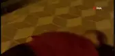 Akhisar'da cinayet: 2 ölü, 1 ağır yaralı