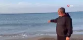 Çanakkale yangınında denize karışan ağaç kalıntıları Saros Körfezi sahiline vurdu