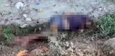 Adana'da dere kenarında kadın cesedi bulundu