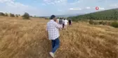 Ağaçlar arasındaki saklı havuz keşfedilmeyi bekliyor