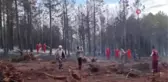Kütahya'da Domaniç ilçesinde çıkan orman yangını kontrol altına alındı