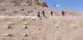 Mardin'de mahsur kalan koyunlar kurtarıldı