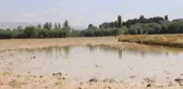 Nevşehir'de Sel Felaketi: Ekili Alanlarda Hasar Tespit Çalışmaları Başladı