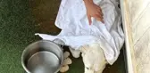 Kuşadası'nda kayalıklarda mahsur kalan köpek kurtarıldı