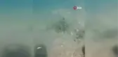 Kozan'da barajlara sazan yavruları bırakıldı