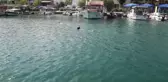 Bodrum'da Deniz Dibi Temizliği Etkinliği Devam Ediyor