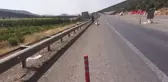 Nesli Tükenme Tehlikesindeki Çizgili Sırtlan Araç Çarpması Sonucu Öldü