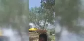 İskenderun'da TOKİ konutları için zeytin ağaçları kesildi, köylüler tepki gösterdi