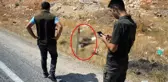 Polis her yerde sürücüyü arıyor! Nesli tükenmekte olan çizgili sırtlanı öldürüp ortadan kayboldu