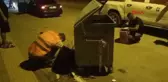 Yaralı Sokak Kedisi Tedavi Edildi