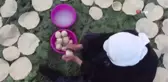El yapımı tarhana ladin ağacının dallarında kurutuluyor