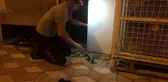 Bucak'ta İtfaiye Ekipleri Yavru Kedileri Kurtardı