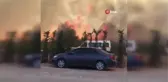 Yalova'da çalılık arazide çıkan yangın kontrol altına alındı