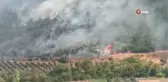Soma'daki orman yangınını söndürme çalışmaları devam ediyor