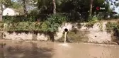Çaya akan atık su kokusu çevreye rahatsızlık veriyor