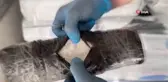 Narkotik köpek İKA ile yapılan operasyonda uyuşturucu sevkiyatı engellendi