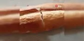 Aynı yerden alınan ekmeğin içinden yine ip çıktı