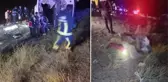 Kaçak göçmenleri taşıyan midibüs şarampole yuvarlandı! 5 kişi hayatını kaybetti