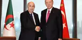 Cumhurbaşkanı Erdoğan, Cezayir Cumhurbaşkanı Tebbun ile görüştü