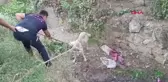 Turgutlu'da Dereye Düşen Sokak Köpeği Kurtarıldı