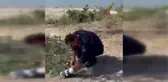 Arnavutköy'de Terkos Gölü kıyısında kurtarılan karga