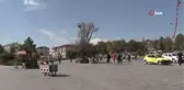 Sivas'ın sembolü 'Tek Ağaç' kurudu