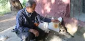 Nesli Tükenmekte Olan Balaban Kuşu Tedavi Edildi