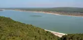 Arnavutköy'de ormanlık alanda çıkan yangın söndürüldü, 1 hektarlık alan zarar gördü