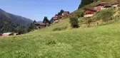 Ayder Yaylası yerli turistlere kaldı