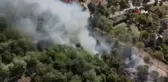Düzce'de Ormanlık Alanda Çıkan Yangın Söndürüldü