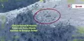 İçişleri Bakanı Ali Yerlikaya: 
