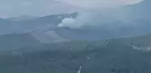 Manisa'nın Akhisar ilçesinde orman yangını