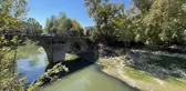 Bartın Irmağı'nda Balık Ölümleri İncelemeye Alındı